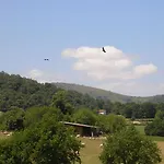 D'hôtes Oyhanartia