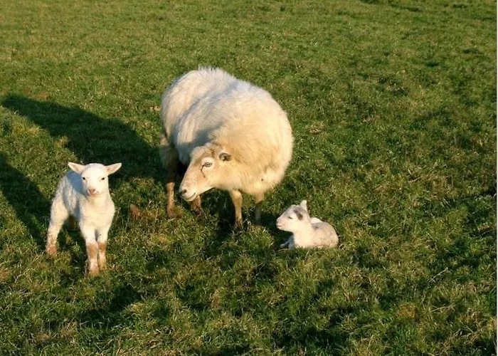 D'hotes Oyhanartia Larceveau-Arros-Cibits